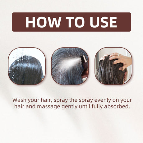 Polygonum Spray, Moisturizing Hair Smooth Shine Thick Solid Hair Black Hair Conditioning Spray - V.I.P Digital Presence