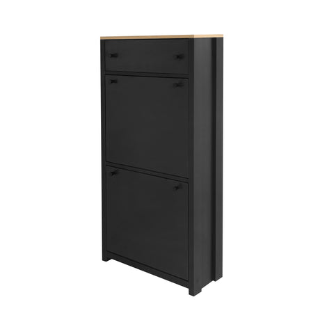 ONTREND with 2 flip drawers, top shoe cabinet with drawers, independent shoe rack with adjustable panel, for hallway use, black - V.I.P Digital Presence
