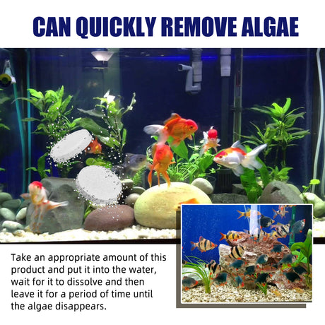 Algae Removal, Aquarium Cleaning Agent Algae Removal Moss Fish Tank Moss Removal Agent Algae Removal From Green Water - V.I.P Digital Presence