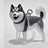 A transparent DIY pet hair memorial keychain box, a sweet keepsake for dog lovers. - V.I.P Digital Presence