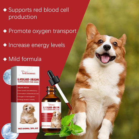 Pet Dog Syrup Pampers Pet Dogs With Gentle Ingredients To Help Absorb Care Supplements - V.I.P Digital Presence