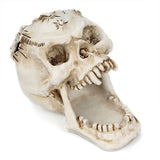 Fang Fang Terror Face Skull Storage Pen Holder Office Desktop - V.I.P Digital Presence