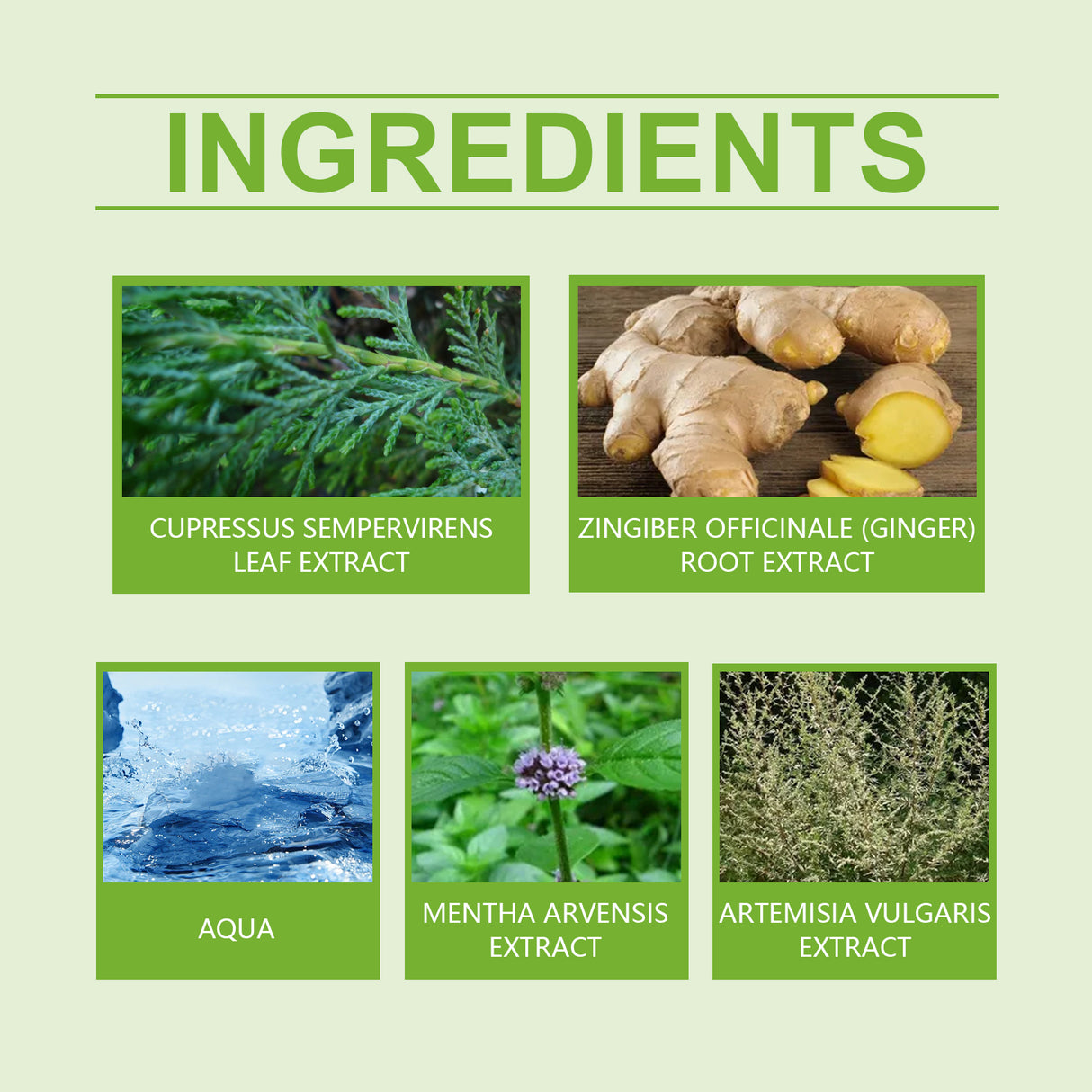 Body Massage Oil Helps Improve Skin Appearance By Boosting Skin Moisture And Elasticity With Body Essential Oils - V.I.P Digital Presence