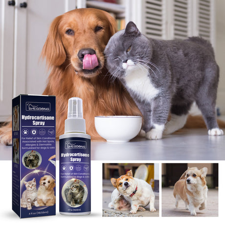 Pet Anti-Itch Spray, Pet Universal Cleaning And Soothing Skin Fur For Anti-Mite Anti-Bug Anti-Itch Spray - V.I.P Digital Presence