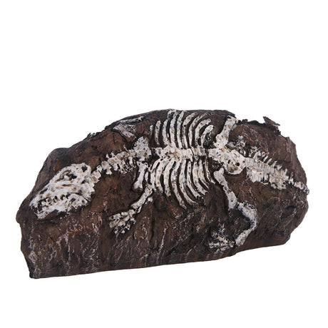 Fossil aquarium fish tank resin ornaments - V.I.P Digital Presence