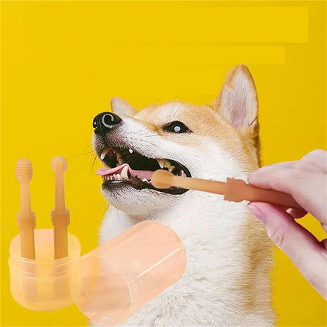 Teeth Whitening Dog Cat Silicone Soft Toothbrush Oral Care Puppy Toothbrush Toothpaste Pet Kit Teeth Cleaning Pet Supplies - V.I.P Digital Presence