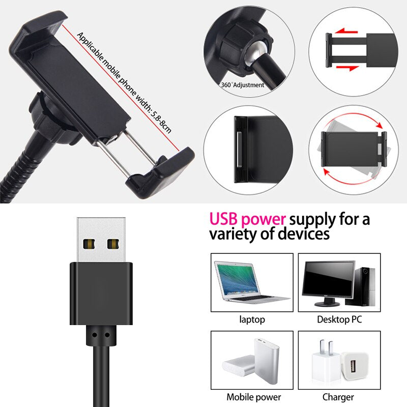 Kit de anillo de luz LED de 8 pulgadas para tutoriales de maquillaje, videos de YouTube, transmisión en vivo para iPad, micrófono, soporte para teléfono, anillo de luz de belleza para selfies.