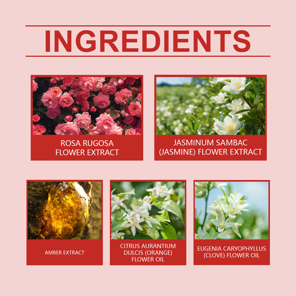 Charm Perfume Spray Natural Fresh Lasting Charm Temperament Amber Fragrance Light Elegant Body Perfume - V.I.P Digital Presence