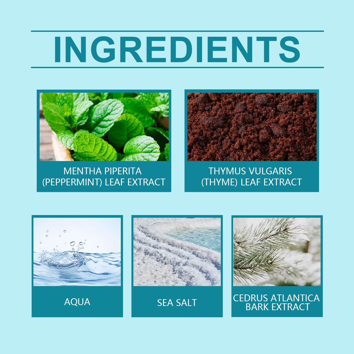 Mint Sea Salt Perfume Mild Fresh Elegant Tone Ear And Wrist Lasting Fragrance Elegant Date Fragrance Perfume - V.I.P Digital Presence