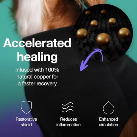 Pet sterilization suit wound anti licking suit suitable for all body types of dogs surgical recovery clothing set ﻿ - V.I.P Digital Presence