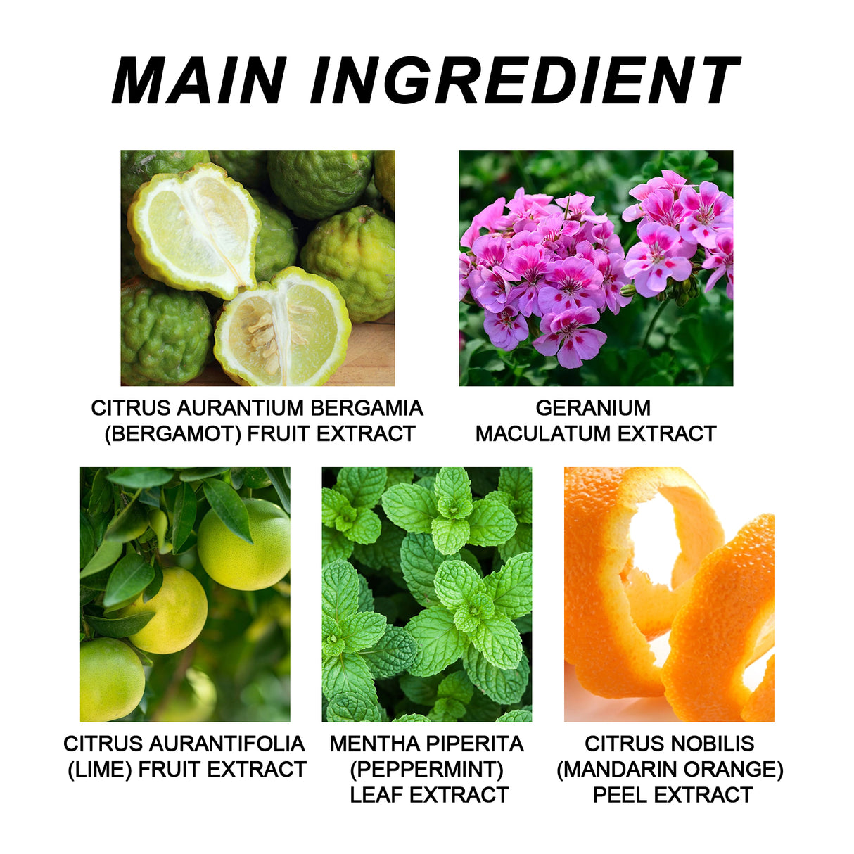 Panicpeace Nasal Inhaler, Refresh The Mind, Relax The Body And Mind, Relieve Body Fatigue, Cool The Nose, Moisturize The Skin, Tighten The Female Body, Massage The Body And Mind Pleasuressage For Physical And Mental Pleasure - V.I.P Digital Presence