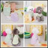 Teddy Schnauzer Pocket Tank Top - V.I.P Digital Presence