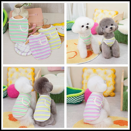 Teddy Schnauzer Pocket Tank Top - V.I.P Digital Presence