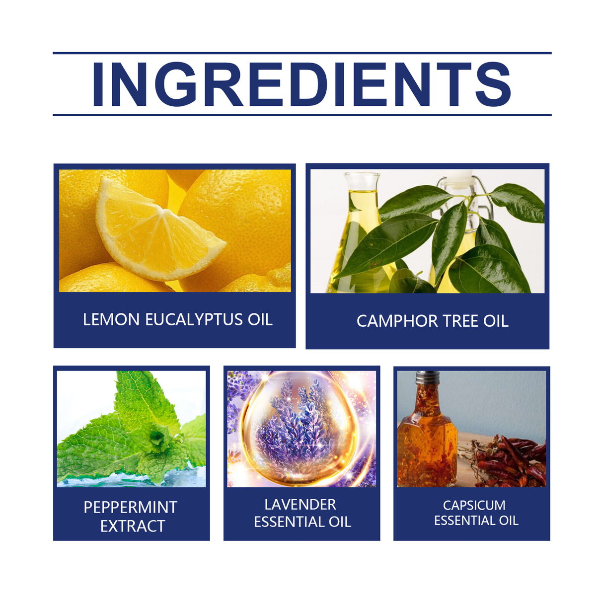 Cockroach Repellent Box, Cockroach Decoy Gel Plant Extract Cockroach Repellent Box - V.I.P Digital Presence