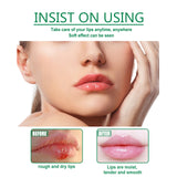 Herbal Medicated Lip Balm, Repair Lips Prevent Dry Crack Remove Dead Skin And Moisturize Care Lip Balm - V.I.P Digital Presence