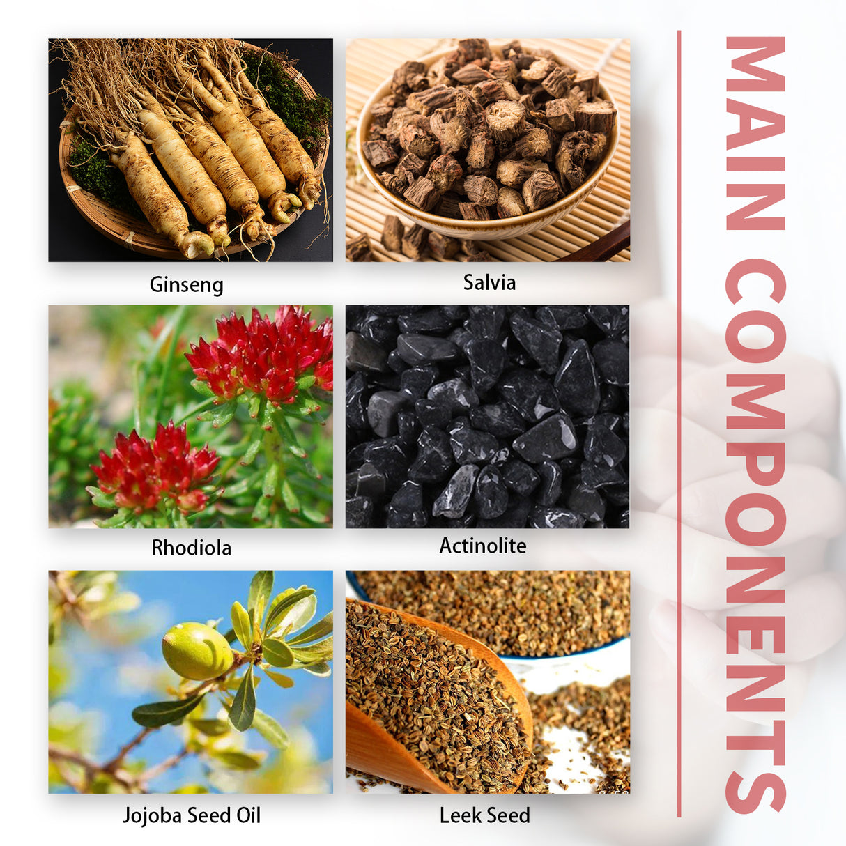 Men's Care Cream, Men's Vitality, Moisturizing Body Massage Care Cream - V.I.P Digital Presence