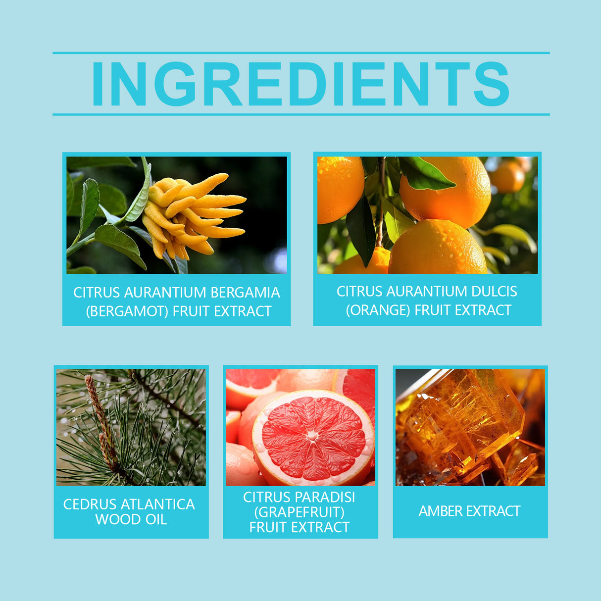 Wood Cologne Eau De Toilette Meet Natural Deep Breath Fresh Charm Charm Wood Cologne Fragrance - V.I.P Digital Presence