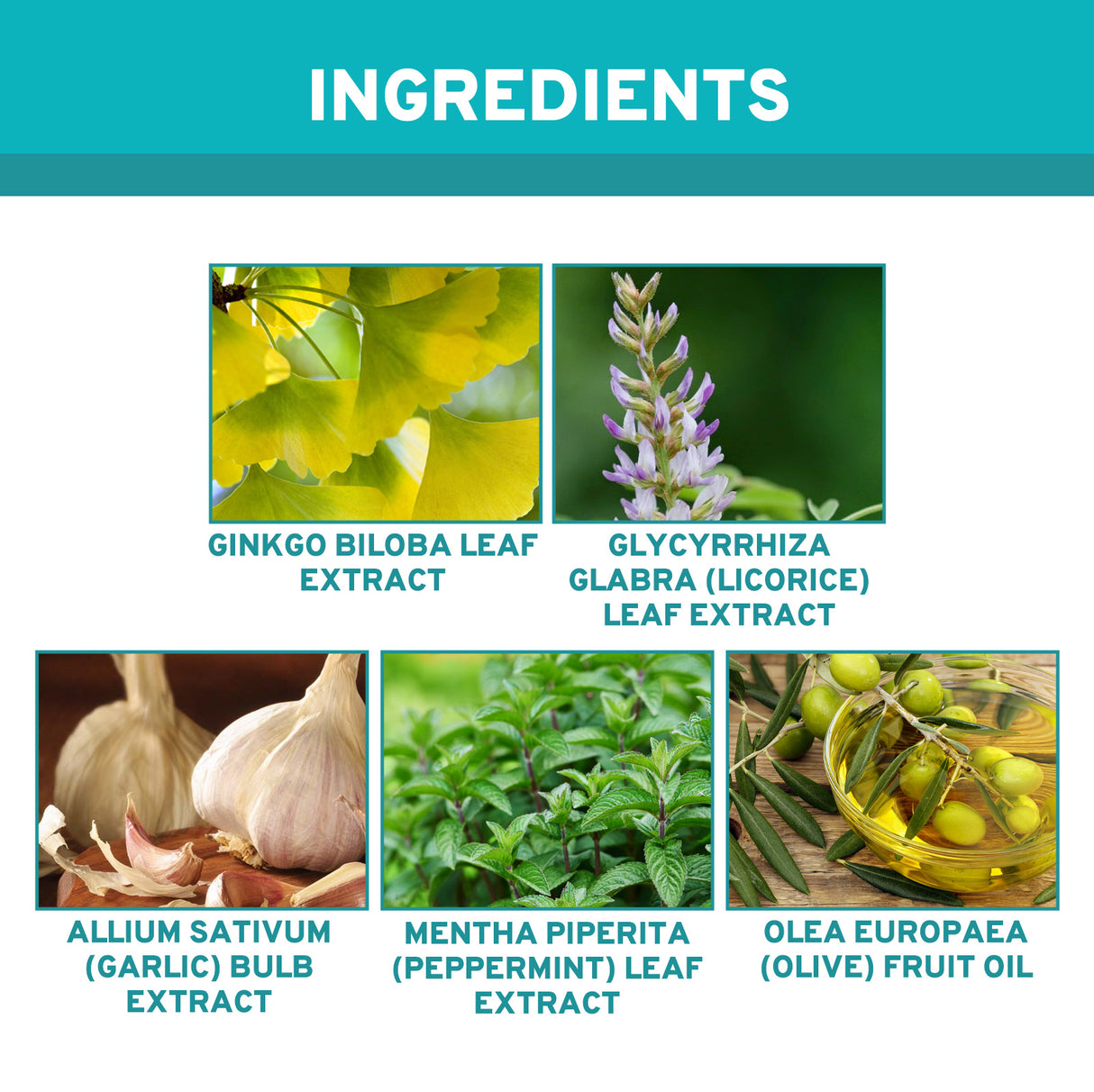 Clear Ear Support Elixir, Relieve Tinnitus Ear Discomfort Inner Ear Obstruction Clean Ear Health Care Solution - V.I.P Digital Presence