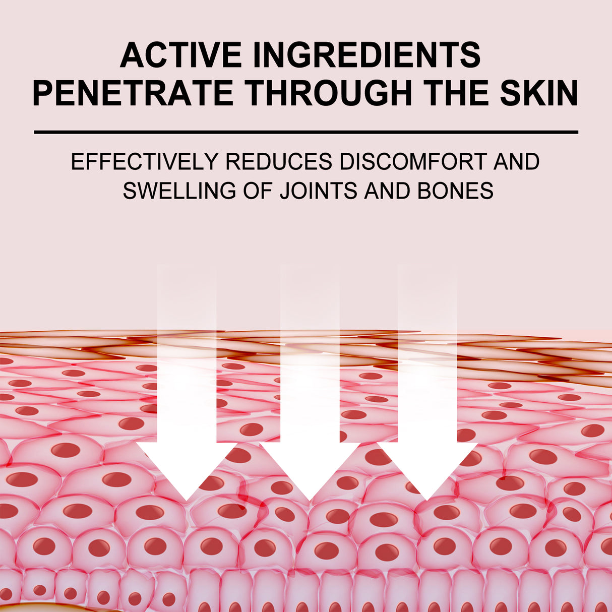 Bee Venom Joint Care Spray Relieves Shoulder, Neck, Lumbar Spine, Knee Pain Joint Body Care - V.I.P Digital Presence