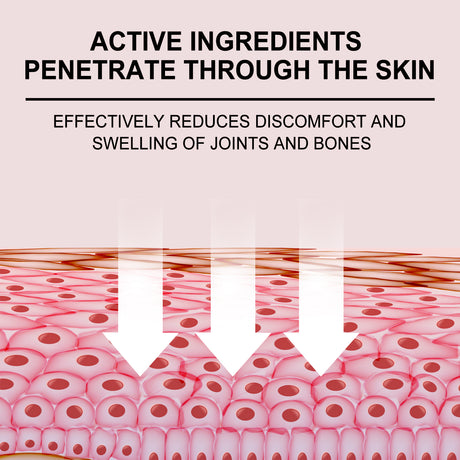 Bee Venom Joint Care Spray Relieves Shoulder, Neck, Lumbar Spine, Knee Pain Joint Body Care - V.I.P Digital Presence