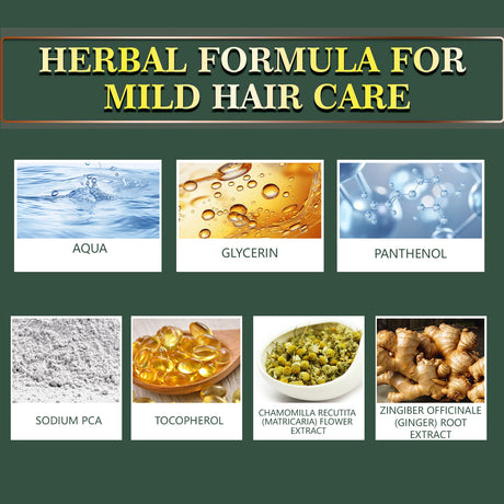 Ginger Hair Care Essential Oil Refreshing And Nourishing Scalp Follicles And Strengthening Hair Nutrition Solution - V.I.P Digital Presence