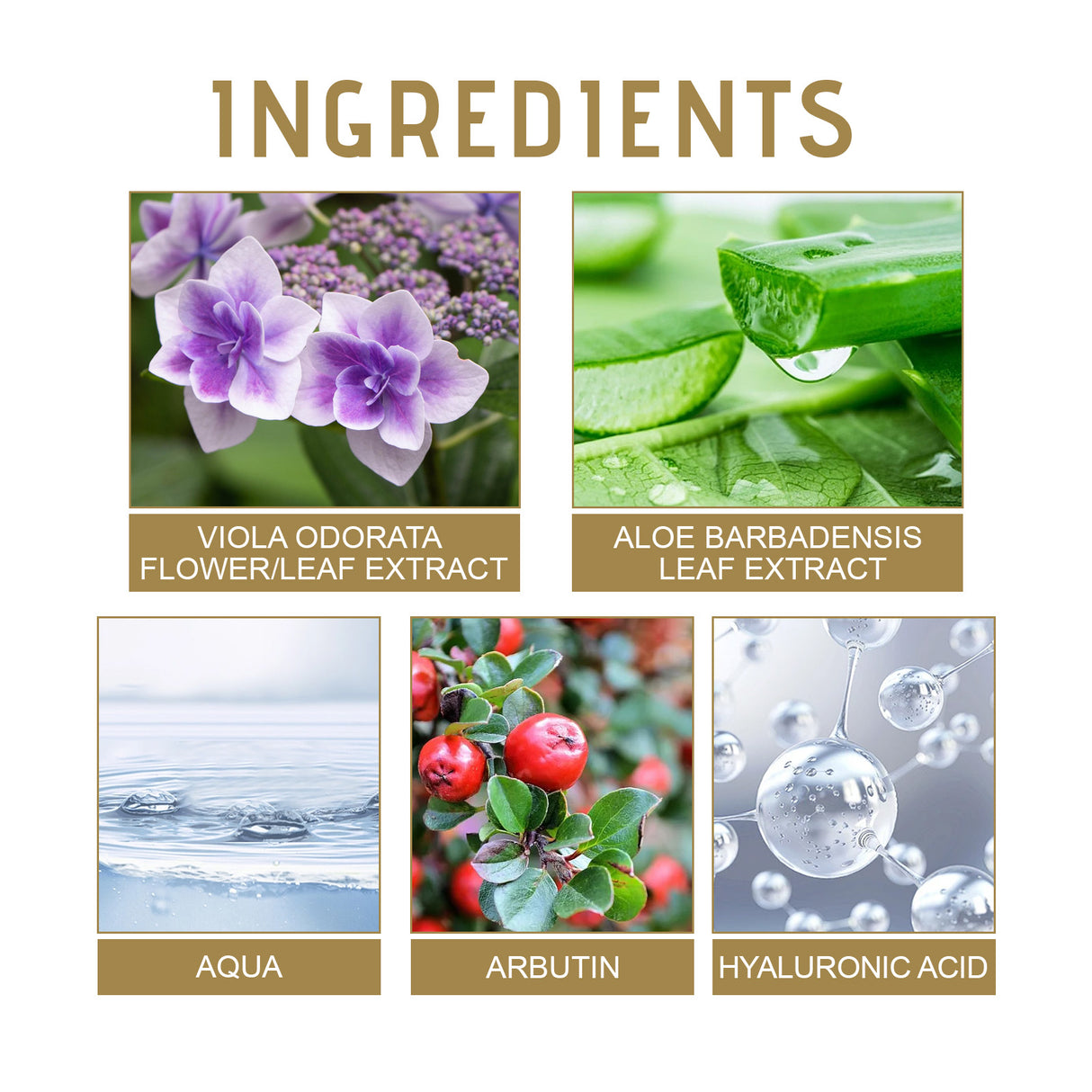 Dark Spot Corrector, Moisturizing And Gently Lightening Uneven Skin Tone Repair Dull Apply Cream - V.I.P Digital Presence