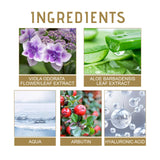 Dark Spot Corrector, Moisturizing And Gently Lightening Uneven Skin Tone Repair Dull Apply Cream - V.I.P Digital Presence