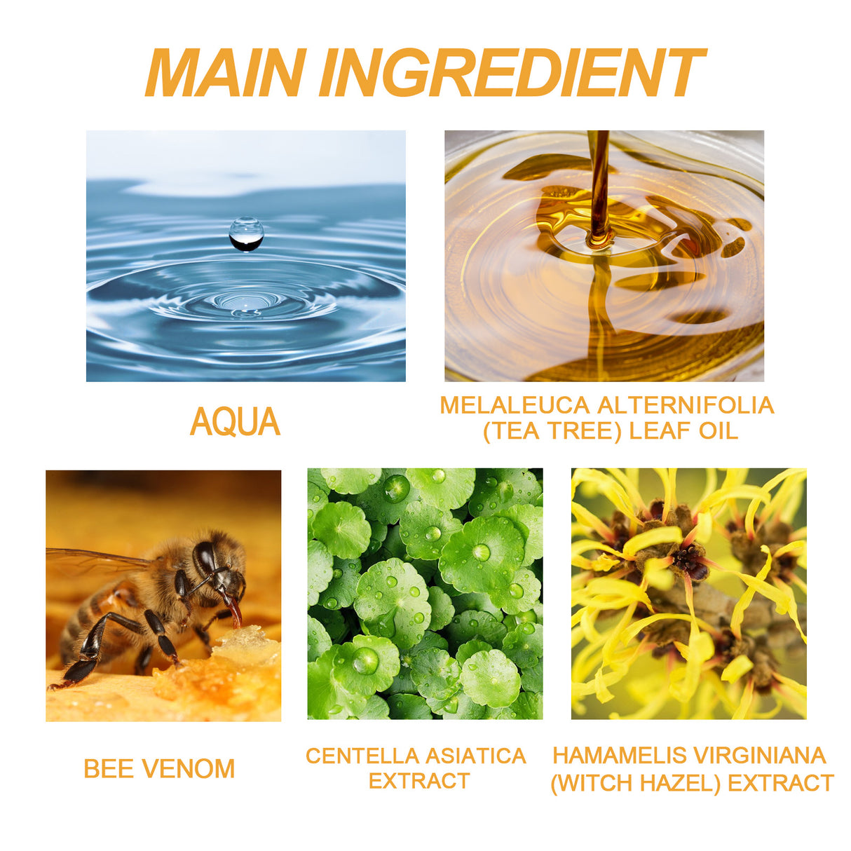 Bee Venom Care Gel, Gently Cleanses Skin And Smoothes Skin Care Gel - V.I.P Digital Presence