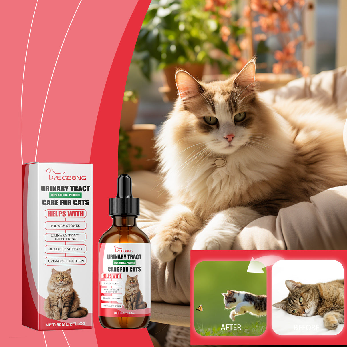 Pet Dietary Supplement, Take Care Of The Pet Body Discomfort Cat To Absorb Nutritional Supplements - V.I.P Digital Presence