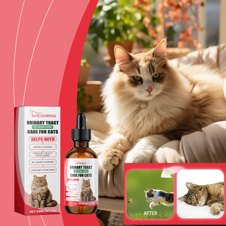 Pet Dietary Supplement, Take Care Of The Pet Body Discomfort Cat To Absorb Nutritional Supplements - V.I.P Digital Presence