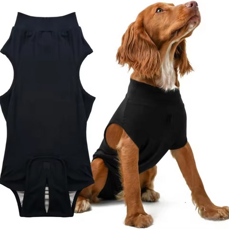Pet sterilization suit wound anti licking suit suitable for all body types of dogs surgical recovery clothing set ﻿ - V.I.P Digital Presence