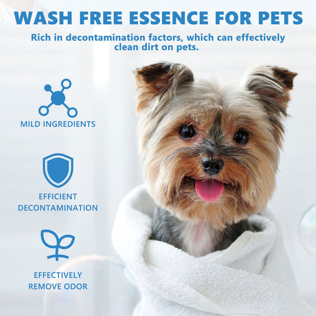 Pet Hair Daily Gentle Cleaning and Scented No-Rinse Care Essence for Cats and Dogs - V.I.P Digital Presence
