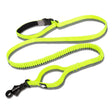 Pet dog leash with elastic cushioning suitable for outdoor activities such as running and waist tying - V.I.P Digital Presence