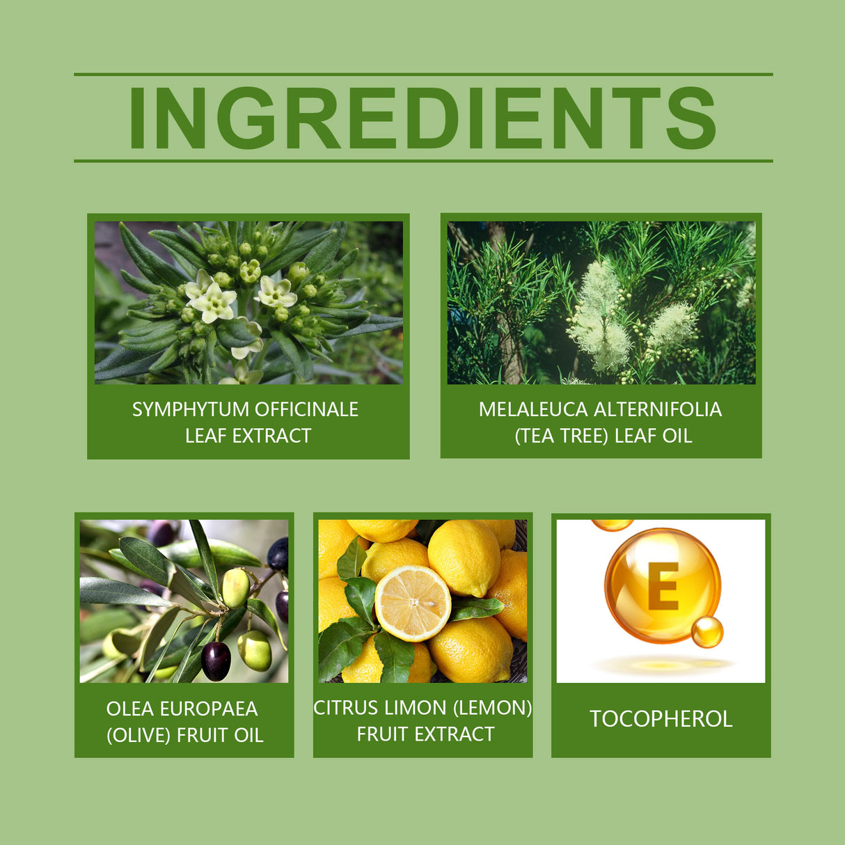 Herbal Treatment Cream Massage Applied To Knee, Wrist, Waist And Shoulder Discomfort Daily Treatment Cream - V.I.P Digital Presence