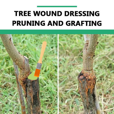 Seedling Tree Wound Sealer Callus Scars Cut Paste Bonsai Pruning Sealer Saw Cuts Coating Tree Wound Healing Paste Tree - V.I.P Digital Presence