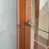 Lighting Curio Diapali cabinet with adjustable shelves, mirror back panel, tempered glass door (without light bulb), walnut wood - V.I.P Digital Presence