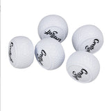 Flat New Golf Indoor And Outdoor Putter Practice Ball Putter Ball - V.I.P Digital Presence