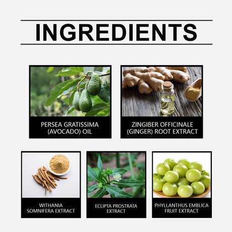 Herbal Hair Care Essential Oil Repair Dry, Hydrating, Smooth And Improve Frizzy Hair Care Essence - V.I.P Digital Presence