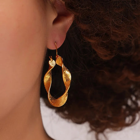 Titanium Steel Twisted Earrings - V.I.P Digital Presence