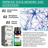 Melissa Officinalis Essential Oil, Moisturizing Massage Skin Body Care Improve Memory Melissa Officinalis Essence - V.I.P Digital Presence