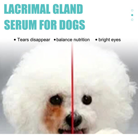 Tear Duct Serum For Dogs, Cats And Dogs Removal Eye Poop Pet Topical Eye Tear Stain Serum - V.I.P Digital Presence