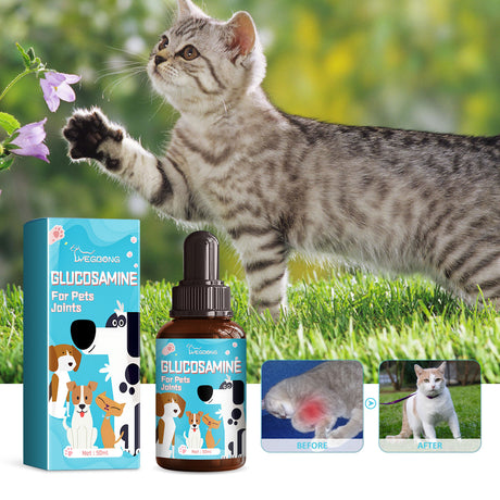 Pet Glucosamine Drops Relieve Pain Of Bones And Joints For Pets Body Care For Cats And Dogs - V.I.P Digital Presence