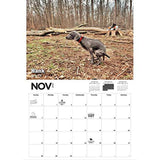 2021 Pooping Pooches Calendar White Elephant Gag Gift Calendar 2021 Calendar Poster Retro Decor Painting - V.I.P Digital Presence