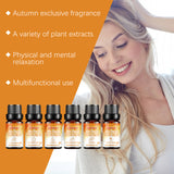 Autumn Essential Oil Set Indoor Warm Atmosphere Long-Lasting Warm Fragrance Soft Fragrance Humidifier Available - V.I.P Digital Presence