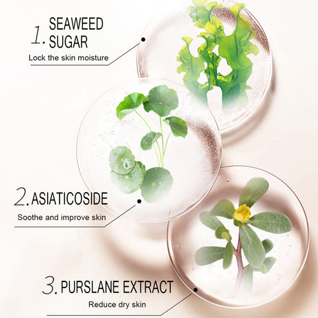 Rice Mask Facial Skin Fine Lines Moisturizing Desalination Brightening Skin Rice Mask Skin Care Products - V.I.P Digital Presence