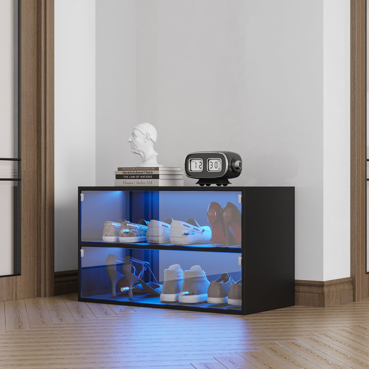 Black Glass Door Shoe Box Shoe Storage Cabinet With RGB Led Light - V.I.P Digital Presence