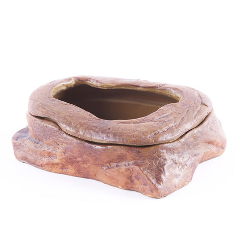 Water grass landscaping pet turtle food basin fish tank ornaments - V.I.P Digital Presence