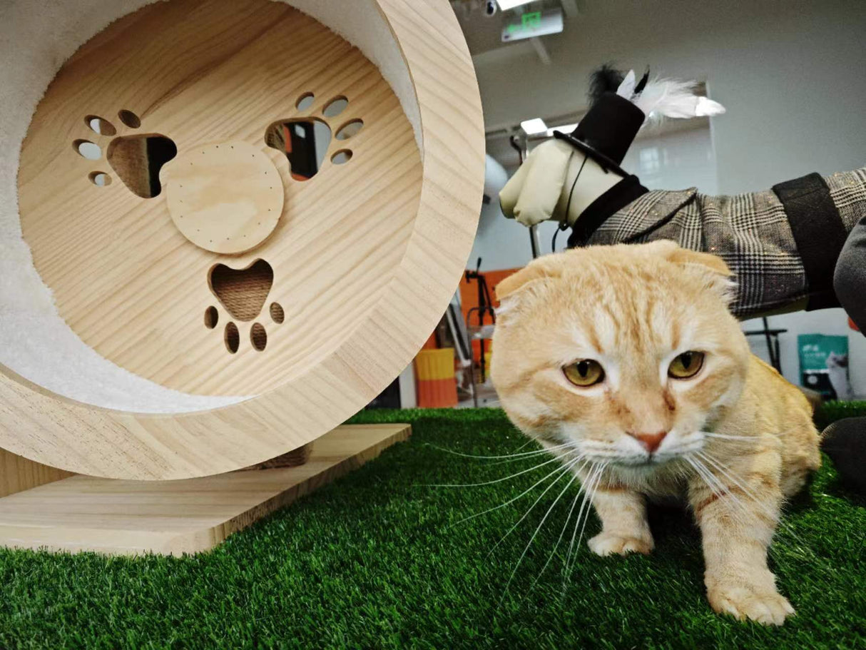 2FTX10FT Outdoor Artificial Grass Runway Blanket, Thick and Realistic Fake Grass Roll Decoration 1.38 "Pile Height - V.I.P Digital Presence