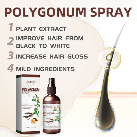 Polygonum Spray, Moisturizing Hair Smooth Shine Thick Solid Hair Black Hair Conditioning Spray - V.I.P Digital Presence