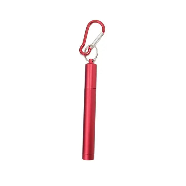1 Set Reusable Telescopic Straw Set Portable Stainless Steel Easy To Clean Straw With Carry Case - V.I.P Digital Presence